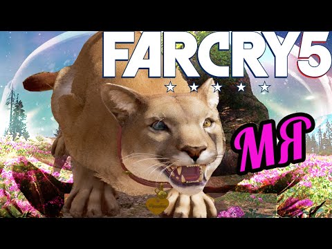 ▼СЮЖЕТ ИГРЫ FAR CRY 5