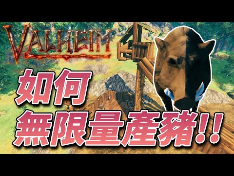【瓦爾海姆】如何無限量生產豬??【Valheim/英靈神殿】
