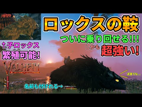【Valheim】『ロックスの鞍』ついにテイムして乗り回せる！強い,可愛い,繁殖可能で今アプデ最高の仕様！ #ゆーだいHIHITI 【バルヘイム ハース&ホーム/Hearth&Home】