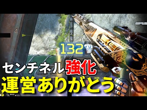 運営ありがとう… センチネル実は強化されてました | Apex Legends