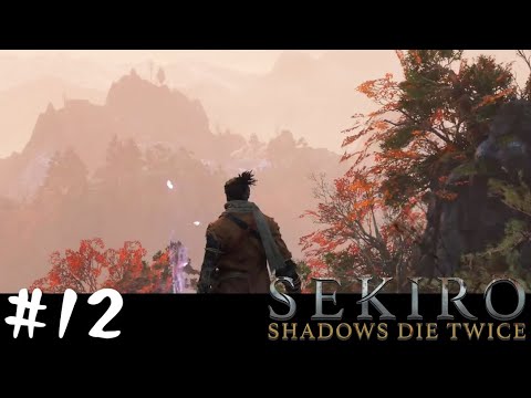 隻狼 実況プレイ #12 SEKIRO: SHADOWS DIE TWICE