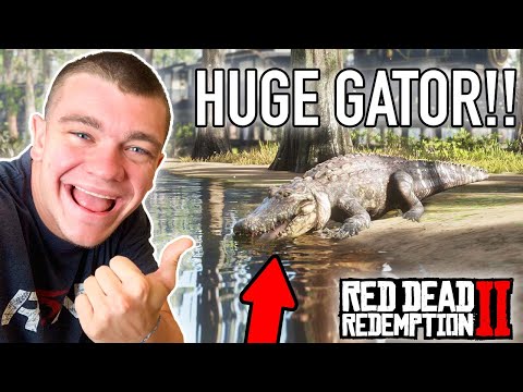 EXPLORING THE EVERGLADES! Red Dead Redemption 2 Pt.14 – Kendall Gray