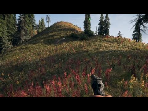 Far Cry 5 gameplay peaches the cat