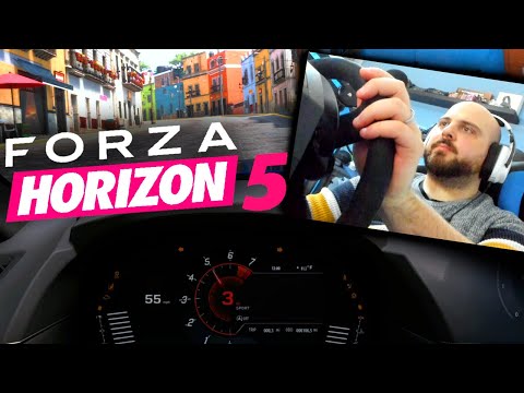 FORZA HORIZON 5 con il VOLANTE: Proviamo!