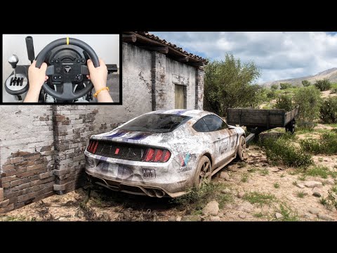 Forza Horizon 5 Rebuilding Ford Shelby Mustang GT350R (Steering Wheel + Shifter) Gameplay