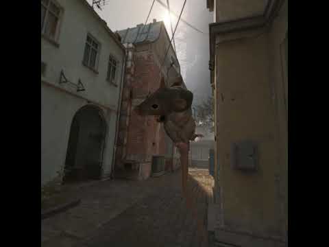 Half-Life Alyx – Rat