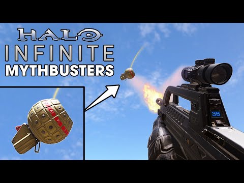Halo Infinite Mythbusters – Vol. 2.5