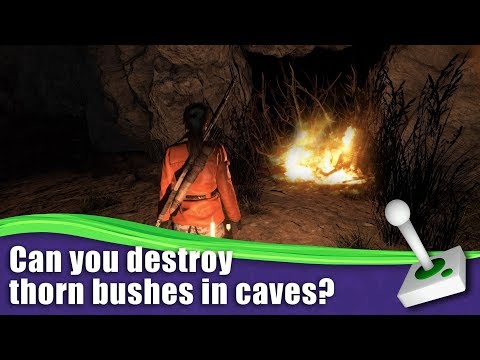 How to destroy thorn bushes in caves – Rise of the Tomb Raider
