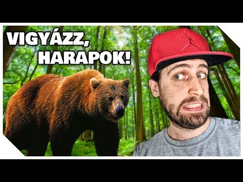 MEDVÉT SZELIDÍTETTEM 🎮 Far Cry 5