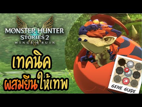 Monster Hunter Story 2 | เทคนิคการผสมยีนเหล่า Monsties ให้แข็งแกร่ง