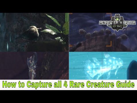 Monster Hunter: World – All 4 Rare Pets Location Guide