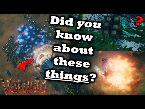 More Valheim Tips & Tricks That You Want To Know Right Now | Advanced Valheim Tips & Tricks #2