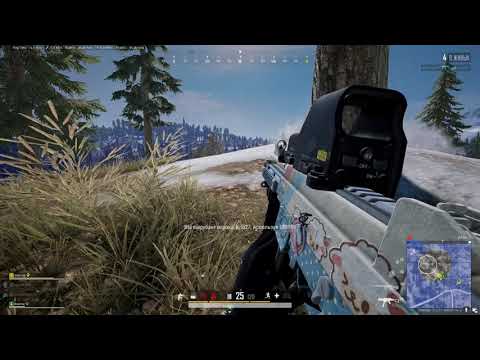 PLAYERUNKNOWN'S BATTLEGROUNDS 2021