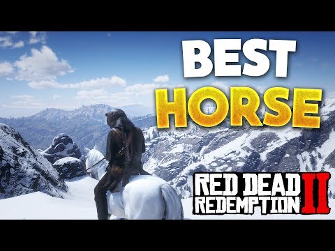 Red Dead Redemption 2 Best Horse! How To Get Arabian White Coat Horse (RDR2 Best Horse)