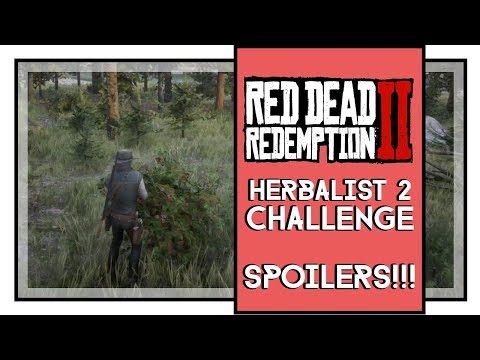Red Dead Redemption 2 Herbalist 2 Challenge Guide [SPOILERS]