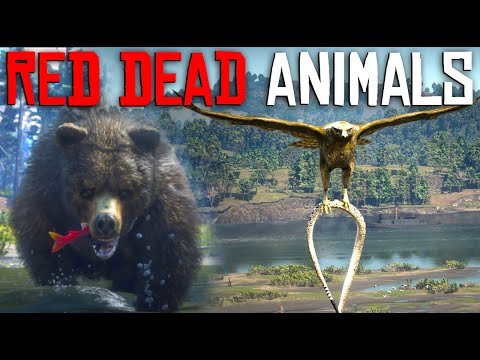 Red Dead Redemption 2 – Insanely Realistic Animals Details