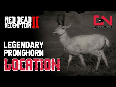 Red Dead Redemption 2 – Legendary Pronghorn Location