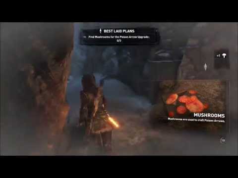 Rise of the Tomb Raider Craft Poison Arrows