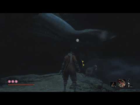 Sekiro Shadows Die Twice Get Passed Cave Snake