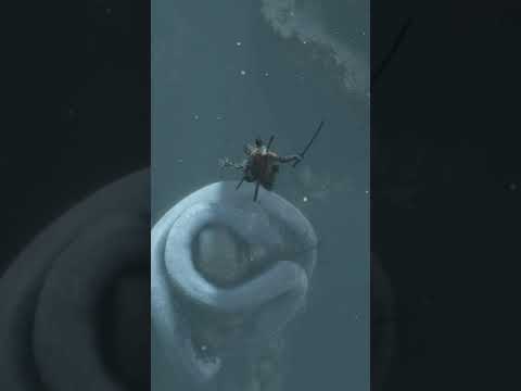 Sekiro: Shadows Die Twice Great Serpent Boss Fight #Shorts