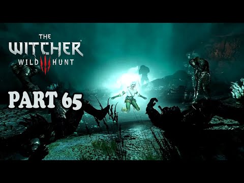 The Battle Of Kaer Morhen | The Witcher 3: Wild Hunt Gameplay Part 65 | No Commentary