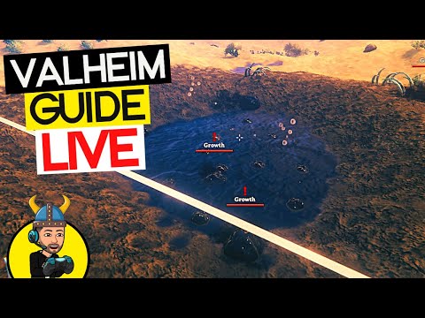 The Valheim Guide – LIVE! Tar Farming!