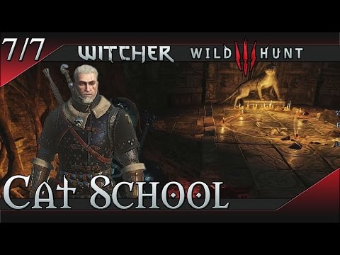 The Witcher 3: Wild Hunt Cat School Gear Set