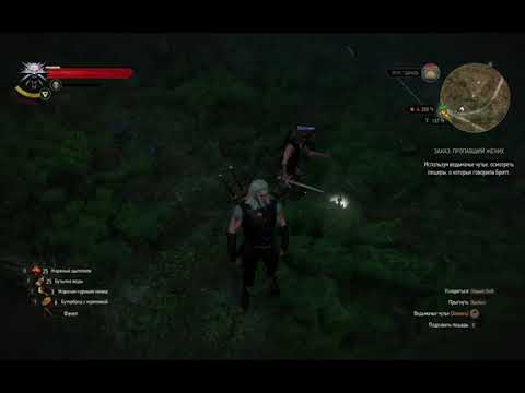 The Witcher 3 Wild Hunt охота на кроликов
