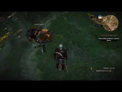 The Witcher 3 wild hunt / прохождение ведьмак 3 дикая охота #13