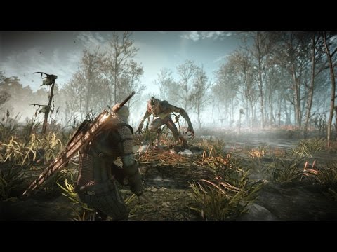 The Witcher 3: Wild Hunt – Downwarren Gameplay