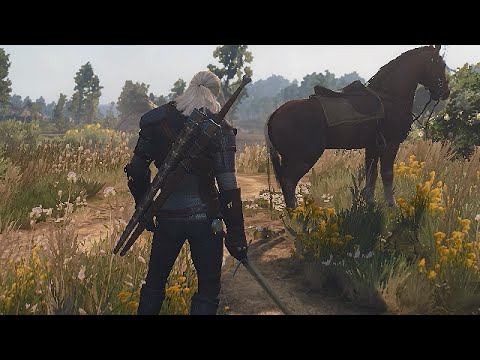 The Witcher 3: Wild Hunt Gameplay – GTX 560 / Q6600 / 6GB (PC HD)