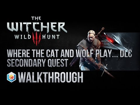The Witcher 3 Wild Hunt Walkthrough Where the Cat and Wolf Play DLC Quest (Xbox One/PS4/PC)
