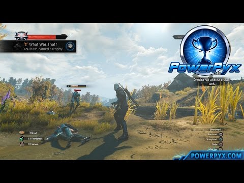 The Witcher 3 Wild Hunt – What Was That? Trophy / Achievement Guide