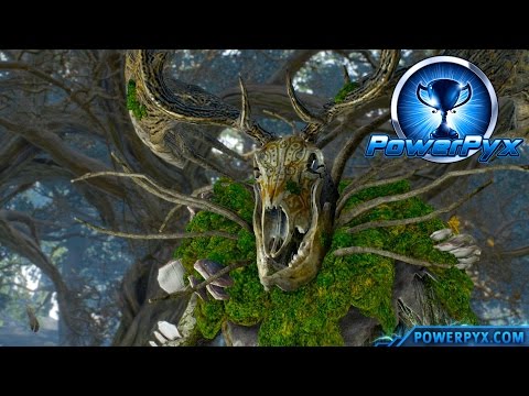 The Witcher 3 Wild Hunt – Woodland Spirit Trophy / Achievement Guide (In the Heart of the Woods)