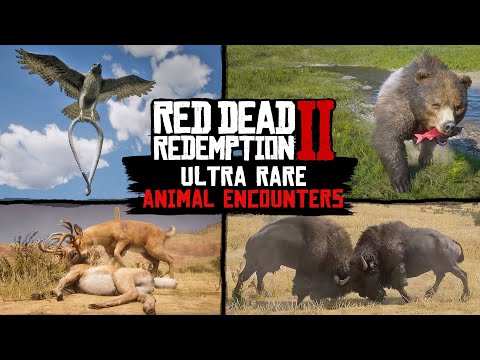 Ultra RARE Animal Encounters in Red Dead Redemption 2 PC 4K