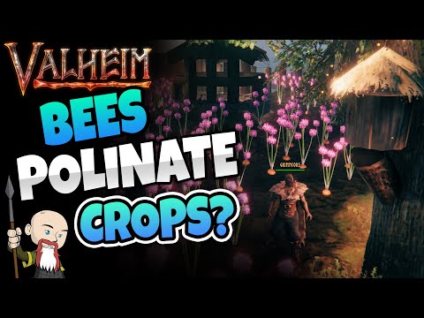 Valheim Developer Grimmcore – Vines Grow on Walls, Deadly Mistlands, Bees Polinate Crops (Part 3)