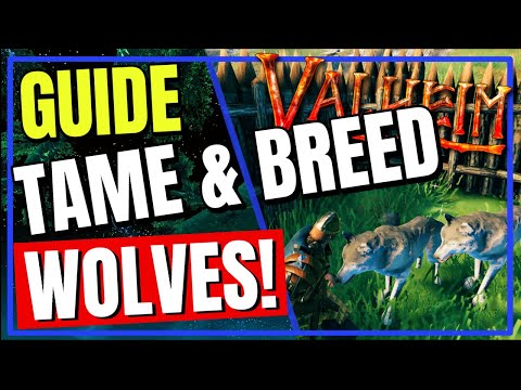 Valheim ESSENTIAL Guide how to capture, tame and breed WOLVES! ✅
