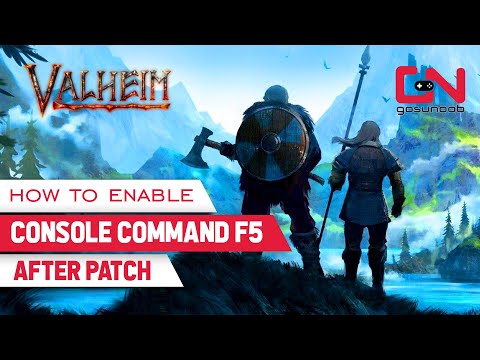 Valheim How to Enable Console Command F5 After Patch