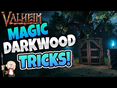 Valheim: Magic Tricks with Darkwood Doors (Gates)