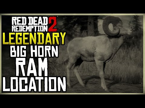 WHERE TO FIND THE LEGENDARY RAM LOCATION + HUNT – RED DEAD REDEMPTION 2