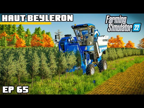 BIG BUSINESS FAILURE? NOT LOOKING GOOD | Farming Simulator 22 – Haut-Beyleron | Episode 65