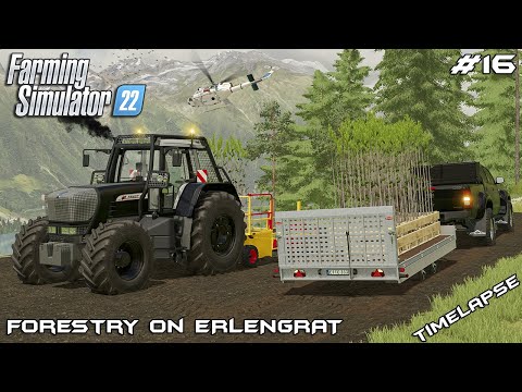 Buying FOREST TRACTOR and planting TREES | Forestry on ERLENGRAT | Farming Simulator 22 | Episode 16