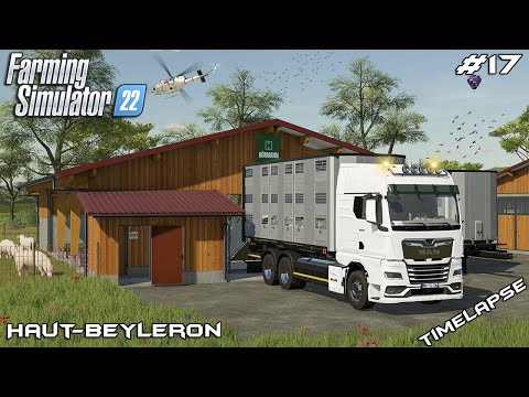 Expanding the FARM – BUYING SHEEP | Animals on Haut-Beyleron | Farming Simulator 22 | Episode 17