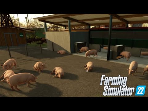 FARMING SIMULATOR 22 ELM CREEK #107 – IL RECINTO DEI MAIALI – GAMEPLAY ITA