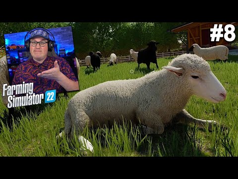 SCHAPENSCHUUR VAN €50,000 BOUWEN! // Farming Simulator 22 #8