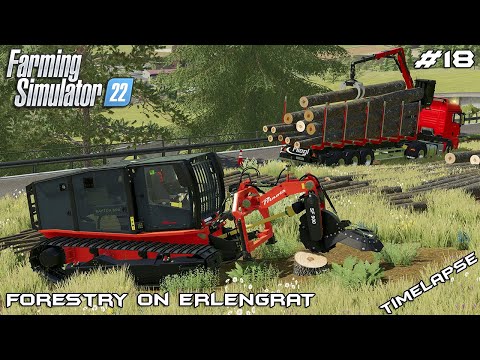 Transporting LOGS and removing STUMPS | Forestry on ERLENGRAT | Farming Simulator 22 | Episode 18