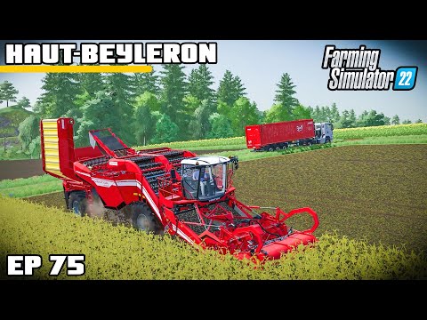 WAS IT WORTH IT? FIRST POTATO HARVEST | Farming Simulator 22 – Haut-Beyleron | Episode 75
