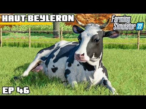WE'VE GOT COWS! | Farming Simulator 22 – Haut-Beyleron | Episode 46