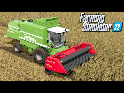 Żniwa słonecznika – Farming Simulator 22 | #17