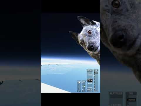 How do I to get to space in Microsoft Flight Simulator? (#Shorts) Real Pilot Plays Flight Simulator